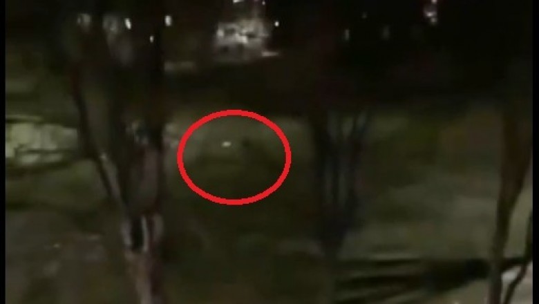 Pojawiło się nagranie lepszej jakości. Widać na nim moment podbiegania i strzałów - Bystrzyca Kłodzka